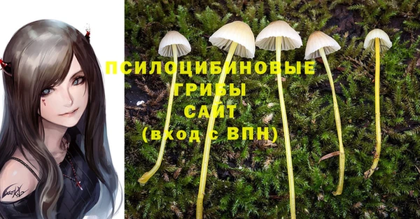 кристаллы Белокуриха