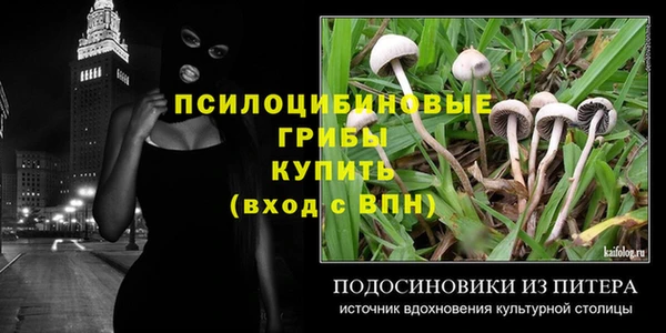mdpv Беломорск